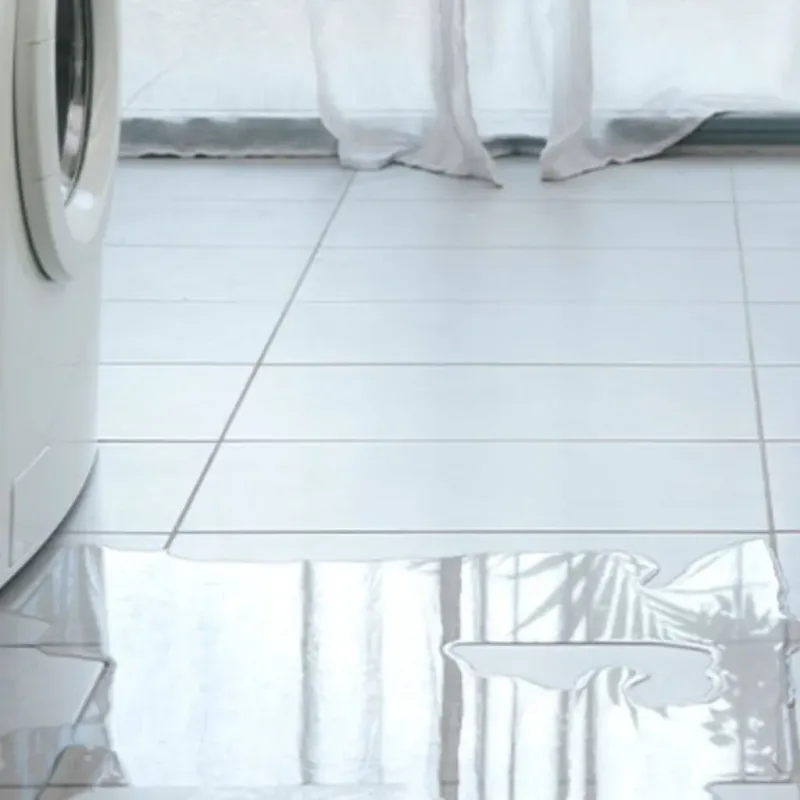 Appliance Leak Cleanup in Tower Lake, IL