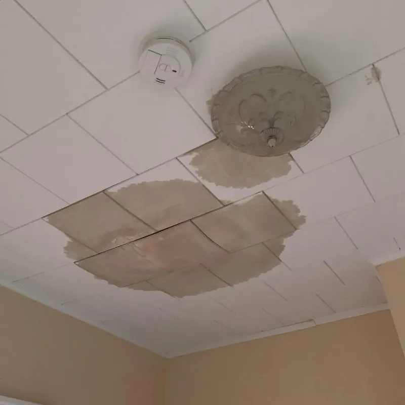 Ceiling Water Damage Repair in Tower Lake, IL