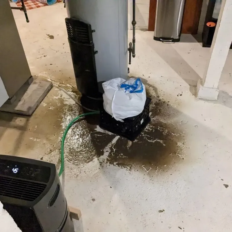 Sewage Backup Cleanup Service in Tower Lake, IL